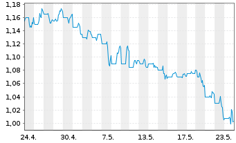 Chart Illumin Holdings Inc. - 1 Monat