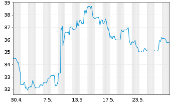Chart Yeti Holdings Inc. - 1 Monat